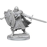 Guerriero Umano Maschio - Miniatura D&D Frameworks W01